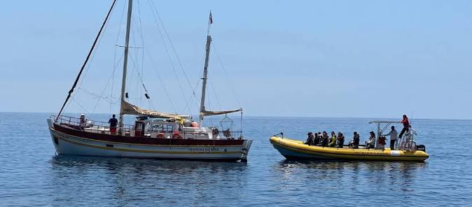 Ventura Nature Emotions — Boat Tours in Madeira